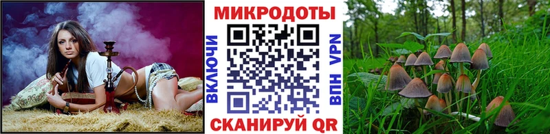 Псилоцибиновые грибы Magic Shrooms  цена   Тайшет 